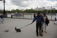 Walking the rabbit