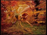 Autumn-Fairy