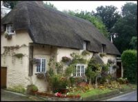 Lovely thatched cottage in Dorset