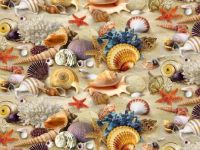 Puzzle #21...Shells