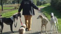 Wereld dierendag