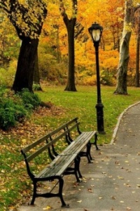 "Bench in Autumn"