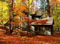 sugar shack