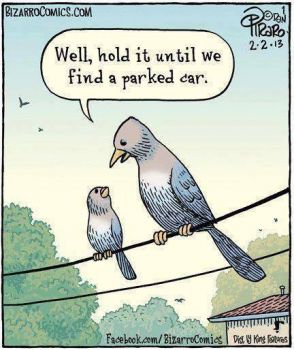 Find a parked car