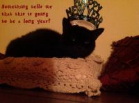 Bella New Year