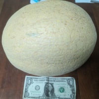 That's a lotta lope for .99$