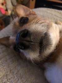 316263467_10159898984545100_1374776800096514726_n