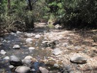 Kenya Highlands River