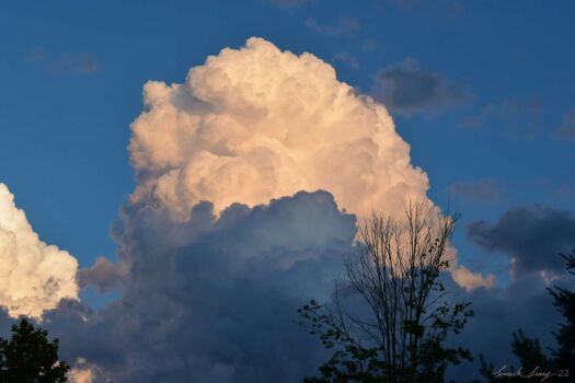 DSC_7984 front yard clouds 1