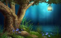 Quiet Place