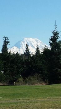 mt Ranier today
