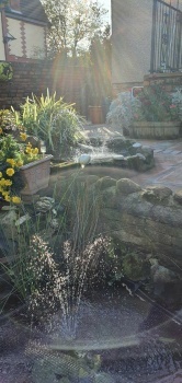 Bottom pond
