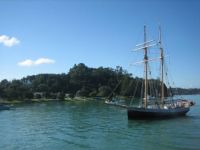 Could there be pirates in New Zealand?