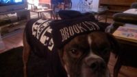 Bad Boy!!!!!!