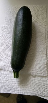 Zucchini harvested from my June 2023 garden.