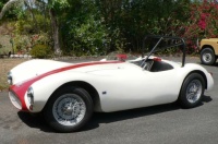 My Ausca's Re-Birth as the Ausca Healey