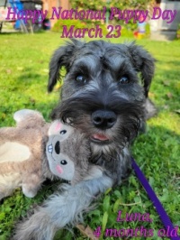 National Puppy Day