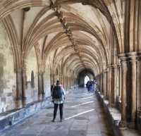 Cloisters Norwich Cathedral