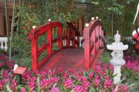 BELAGIO'S FLOWER EXHIBIT...