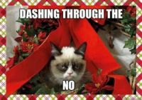 Angry Xmas Cat