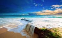 beautiful nature
