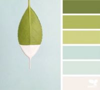 Seeds