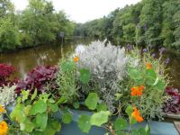 Scene from the Flower Bridge