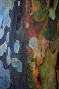 themes: trees and flowers