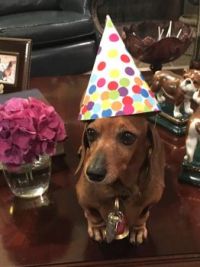 Poppy Turns 10 Today!  Happy Birthday, Sweet Baby Girl!!!