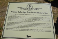 Sign Post Forest