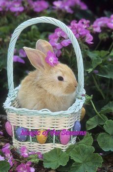 bunny basket