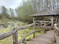 MOKŘAD MOŘICE 13. 4. 2025