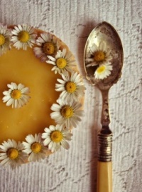 A lemon cake