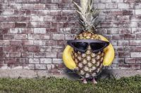 A Pineapple Poses...