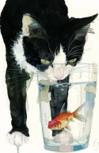 cat and fish