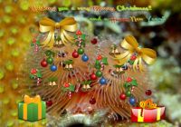 Christmas Tree Worm