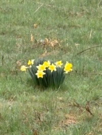 Welcome to Spring!