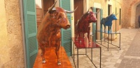 Bunte Stiere