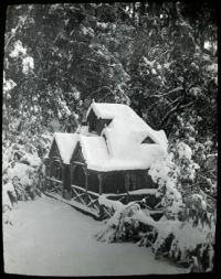 Historic hut "Musk Hut", Mt Wellington, Tasmania