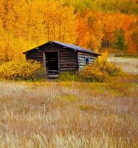 Autumn Cabin by Estes Park, Colorado...