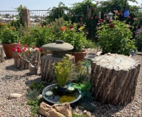 Summer Garden