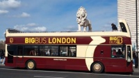 White Lion on a London Tour Bus ?