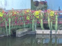 Bridge Flowers Rosporden