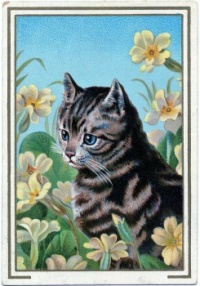 Vintage Grey Tabby Cat Image, resizable 12 to 475 pieces