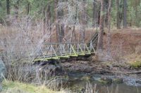 The Moss-Covered Bridge