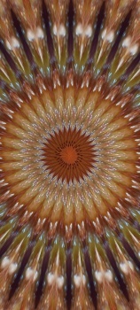 Kaleido