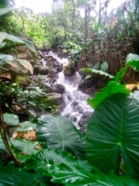 Eden Project