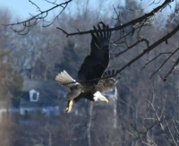 This photo taken in Central Park,  New York City,  NY,  USA