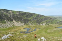 Cooling water ahead at Eller Peatpot on Black Combe, England.