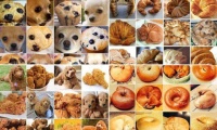 Dogs that look like food